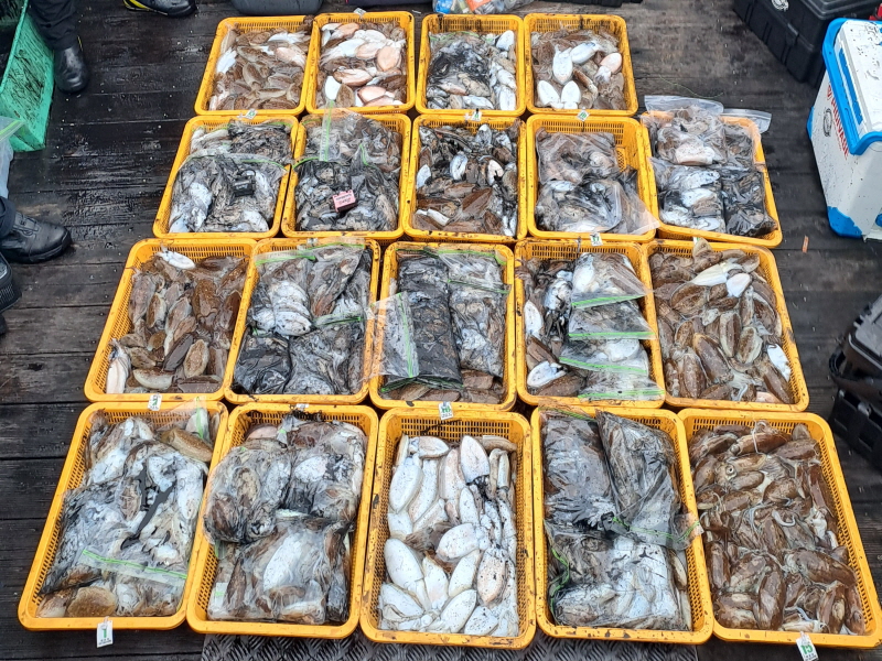 행운호 조황갤러리입니다.