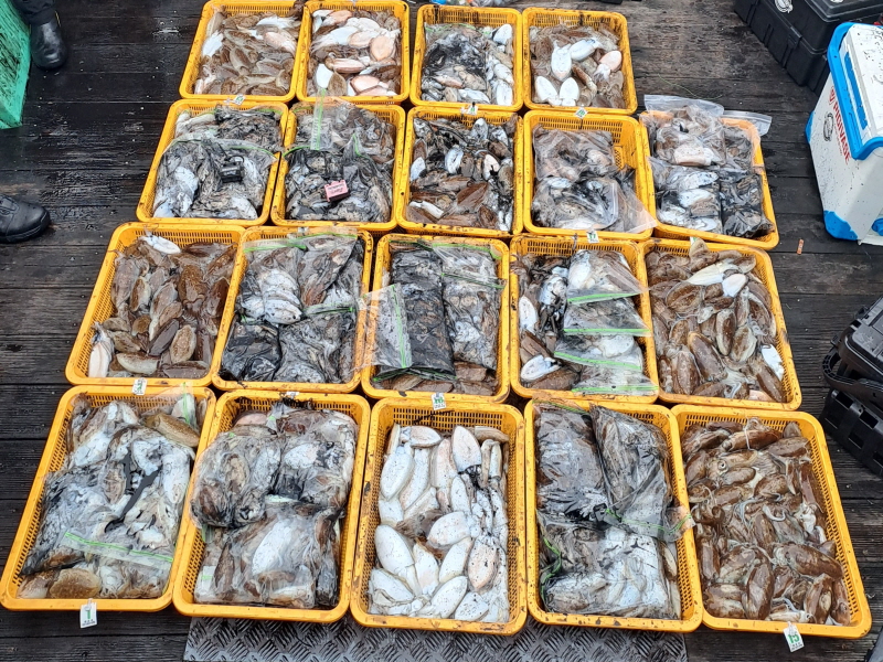 행운호 조황갤러리입니다.