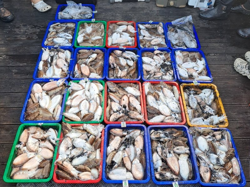 행운호 조황갤러리입니다.