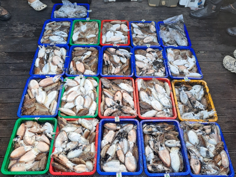 행운호 조황갤러리입니다.