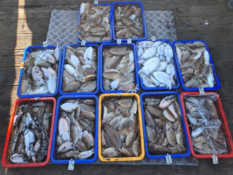 행운호 조황갤러리입니다.