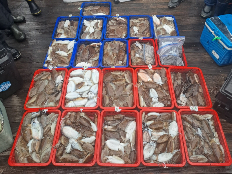 행운호 조황갤러리입니다.