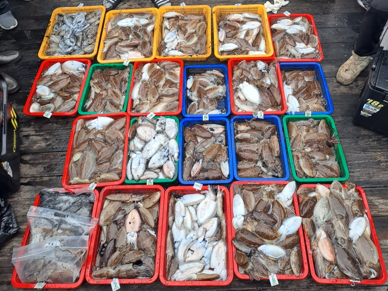 행운호 조황갤러리입니다.