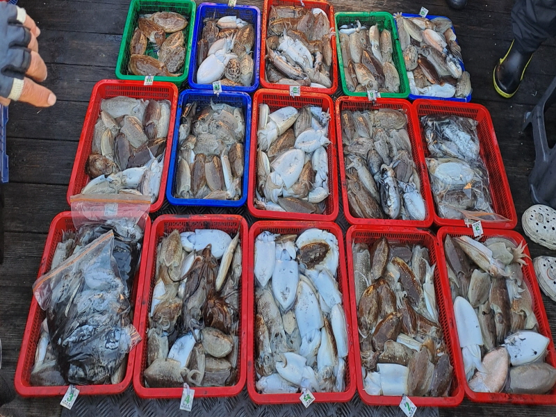 행운호 조황갤러리입니다.