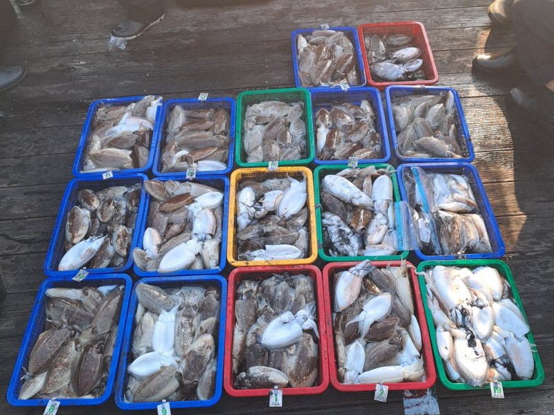 행운호 조황갤러리입니다.