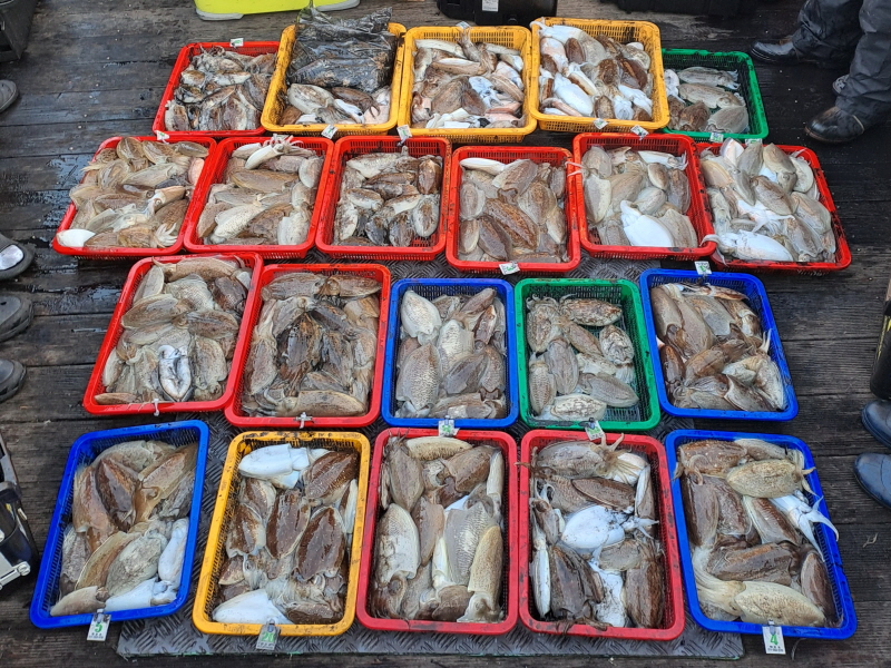 행운호 조황갤러리입니다.