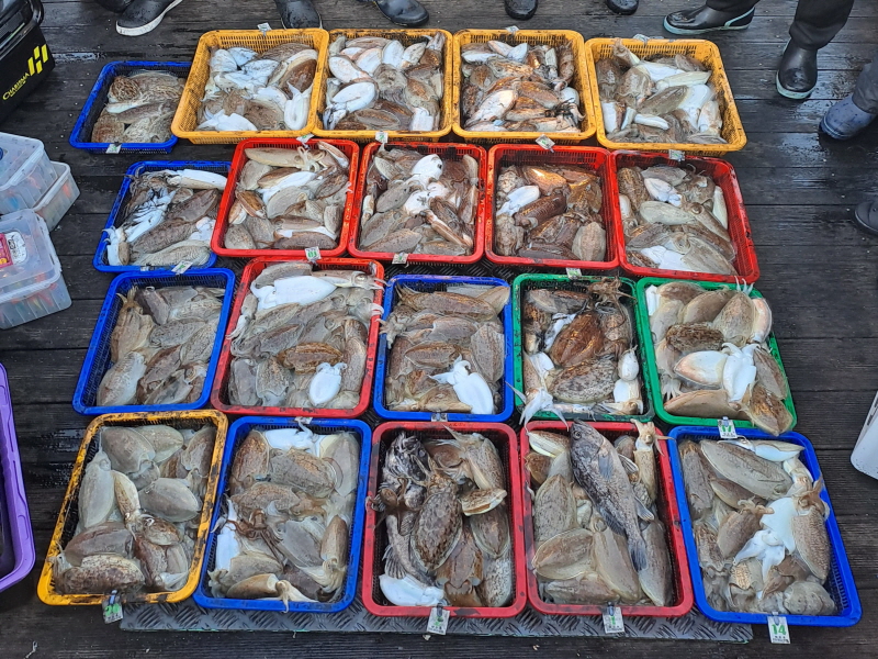 행운호 조황갤러리입니다.