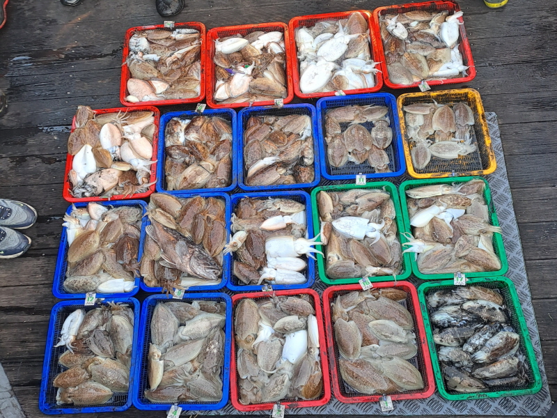 행운호 조황갤러리입니다.