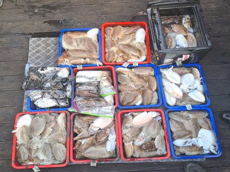 행운호 조황갤러리입니다.