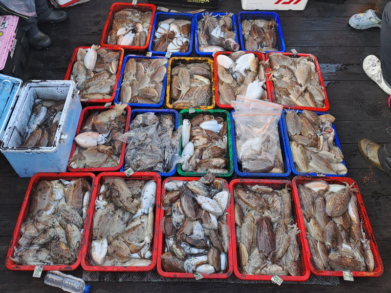 행운호 조황갤러리입니다.