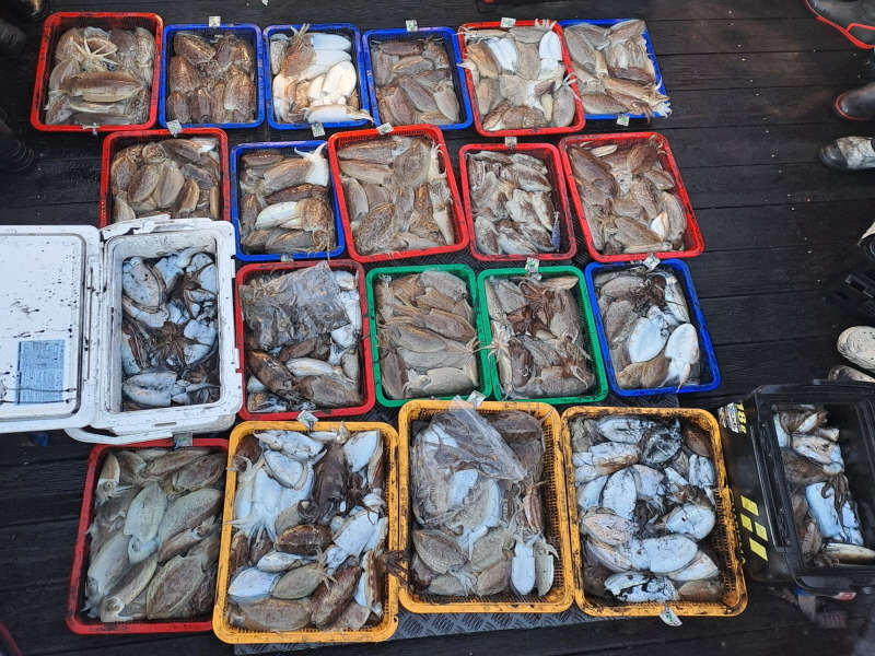 행운호 조황갤러리입니다.