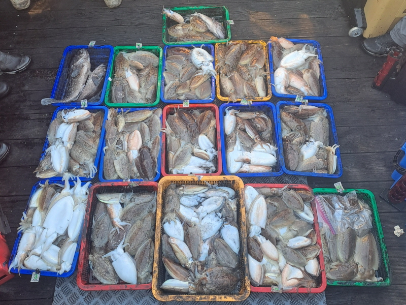 행운호 조황갤러리입니다.