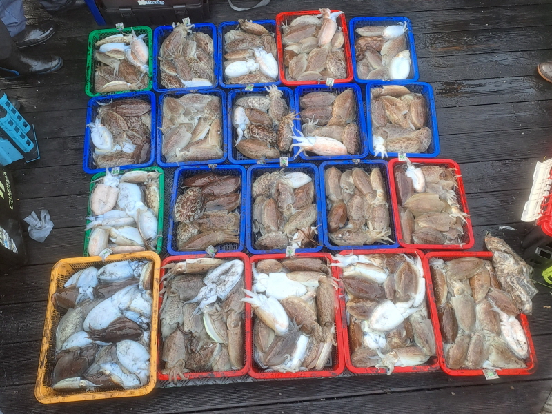 행운호 조황갤러리입니다.