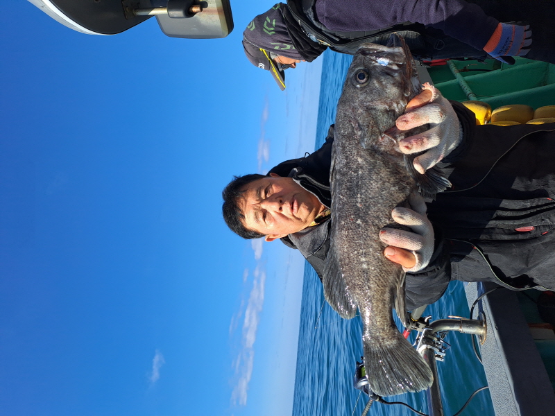 행운호 조황갤러리입니다.