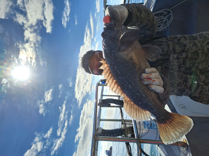 행운호 조황갤러리입니다.