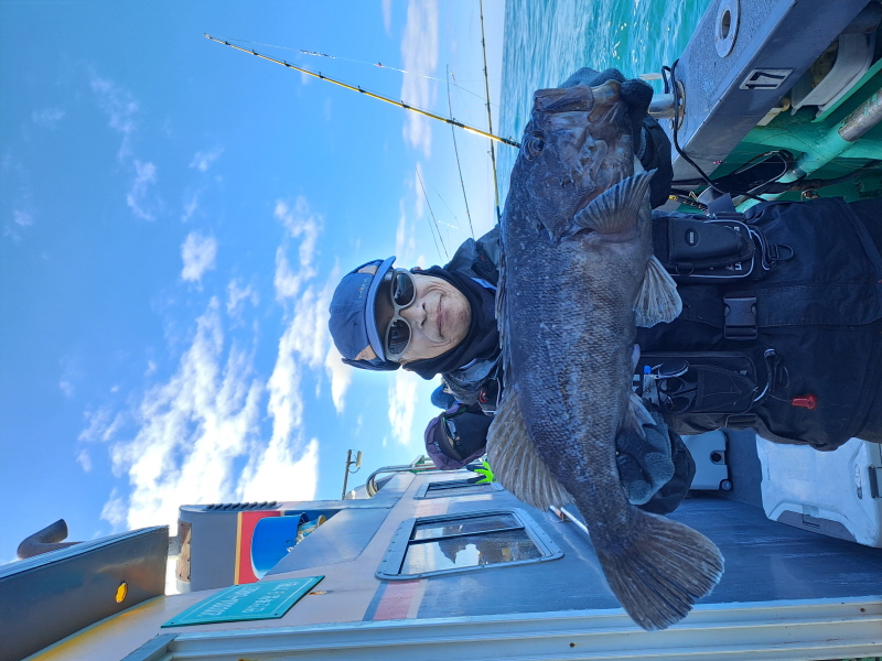 행운호 조황갤러리입니다.