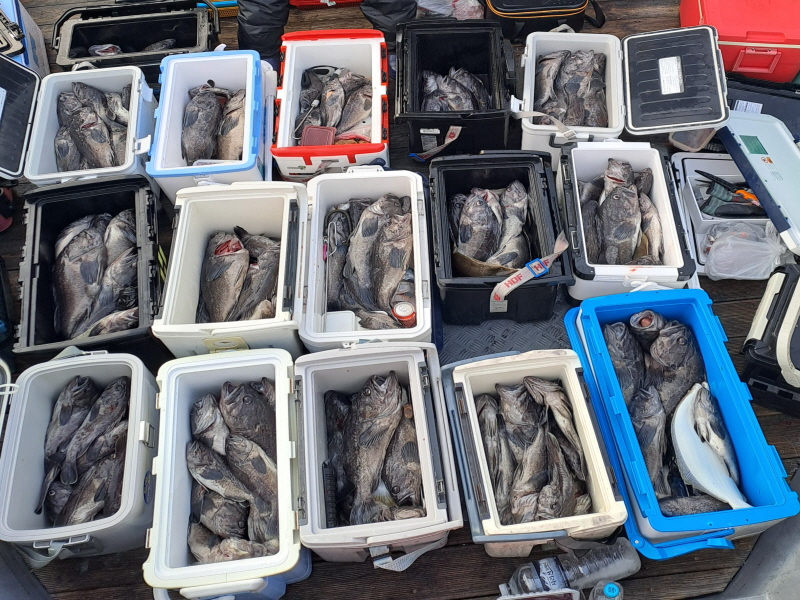 행운호 조황갤러리입니다.