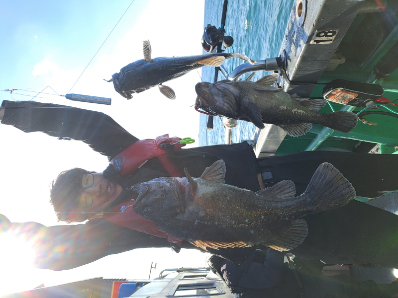 행운호 조황갤러리입니다.