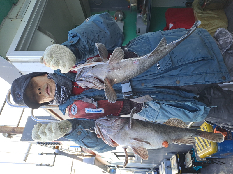 행운호 조황갤러리입니다.