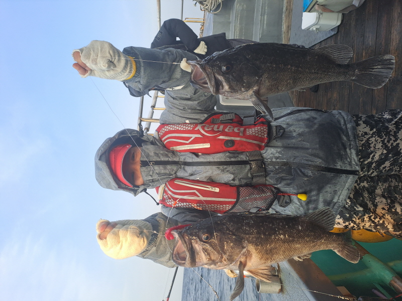 행운호 조황갤러리입니다.