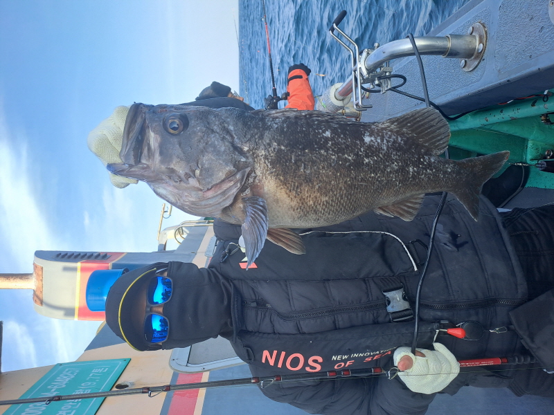 행운호 조황갤러리입니다.