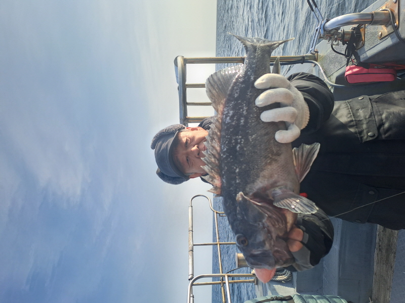 행운호 조황갤러리입니다.