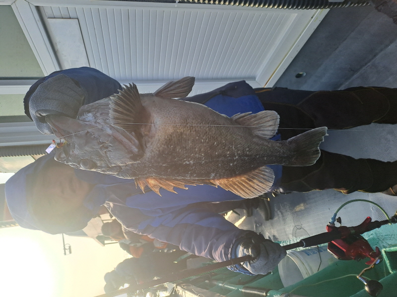 행운호 조황갤러리입니다.