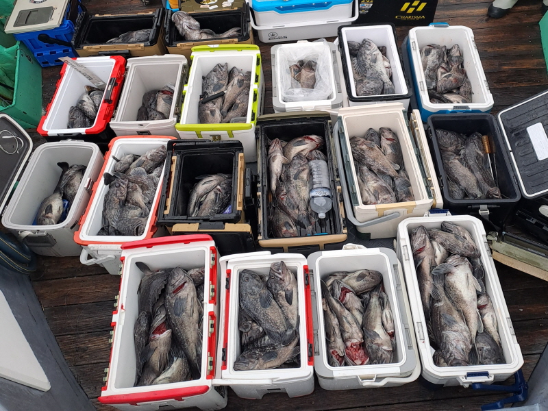 행운호 조황갤러리입니다.