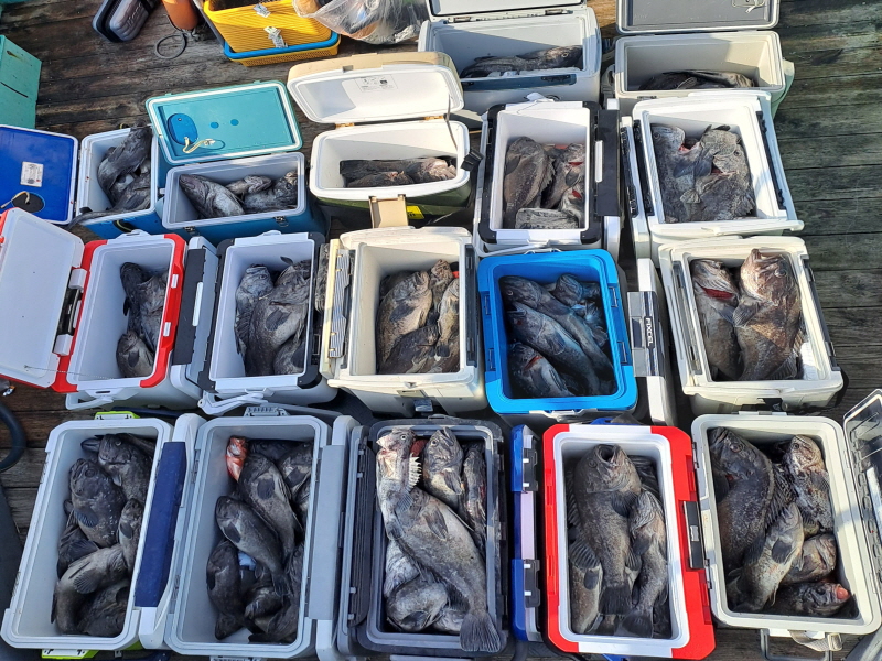 행운호 조황갤러리입니다.