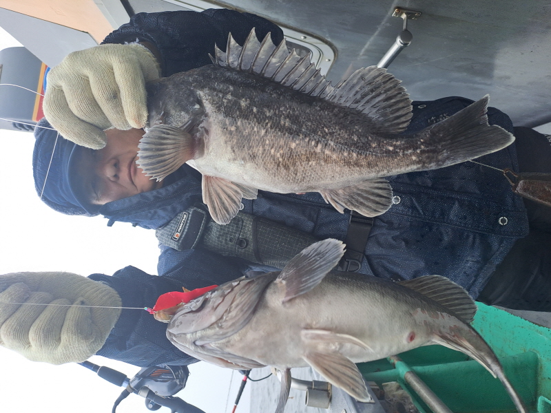 행운호 조황갤러리입니다.