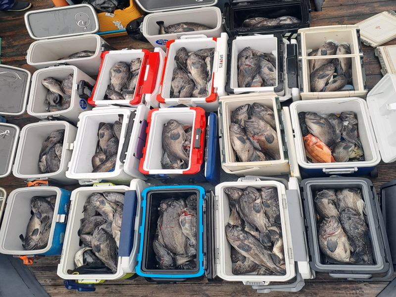 행운호 조황갤러리입니다.