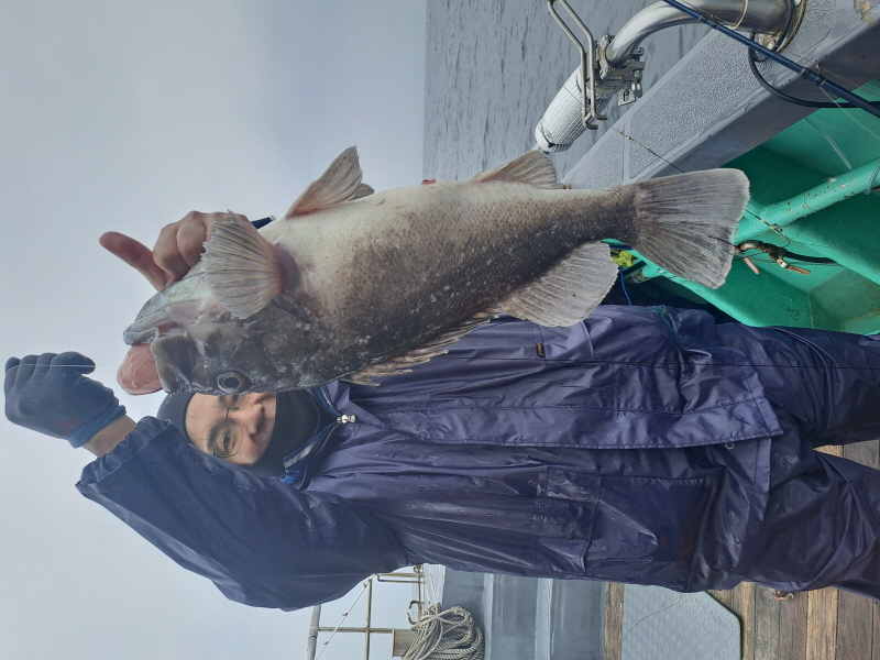 행운호 조황갤러리입니다.