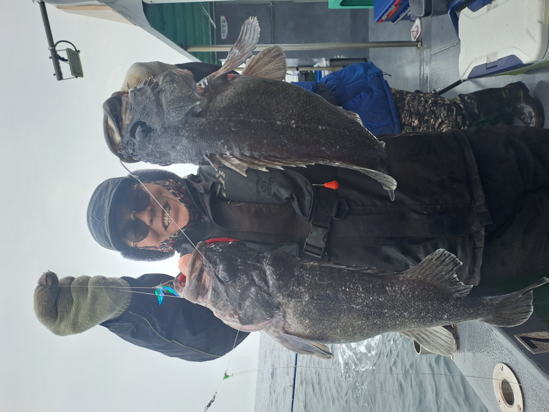 행운호 조황갤러리입니다.