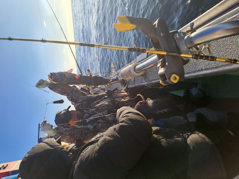 행운호 조황갤러리입니다.