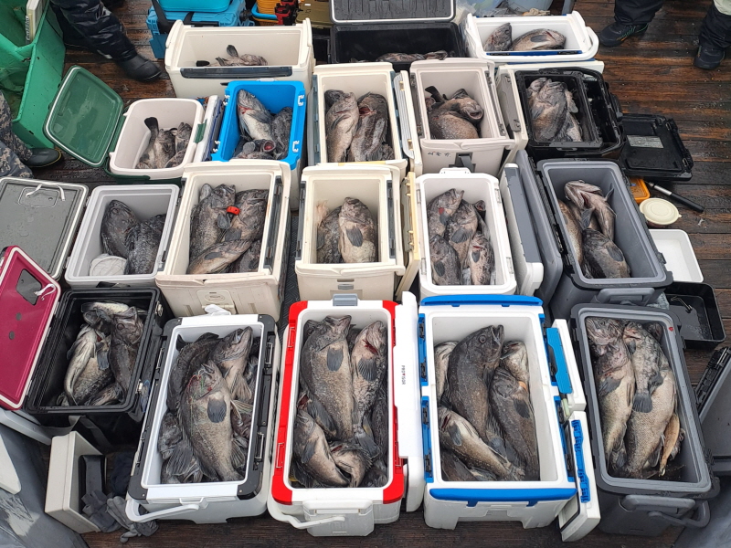 행운호 조황갤러리입니다.