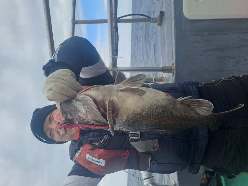 행운호 조황갤러리입니다.