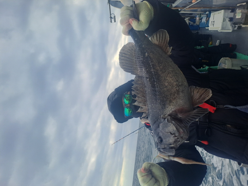 행운호 조황갤러리입니다.