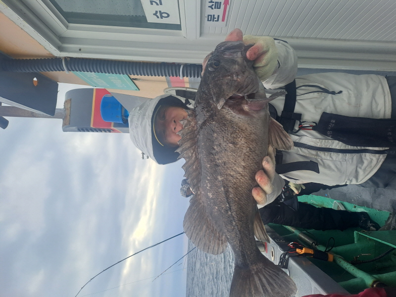 행운호 조황갤러리입니다.