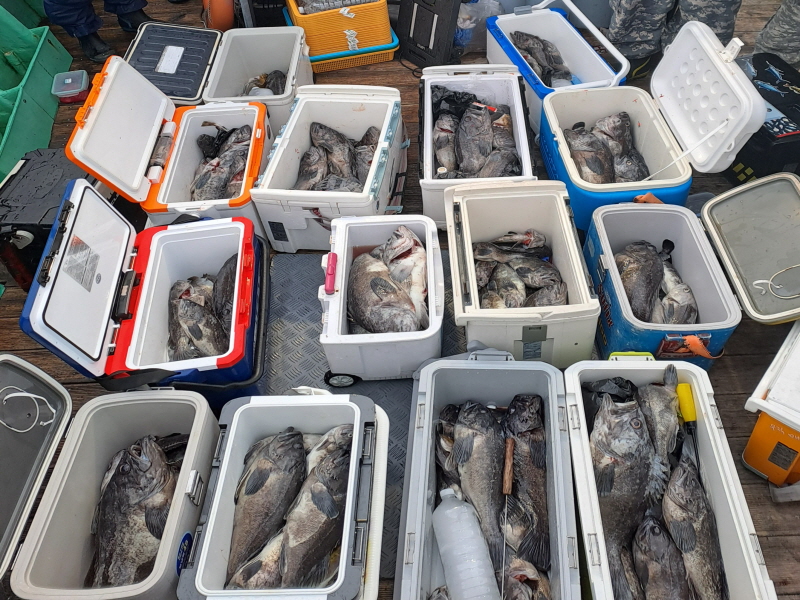 행운호 조황갤러리입니다.