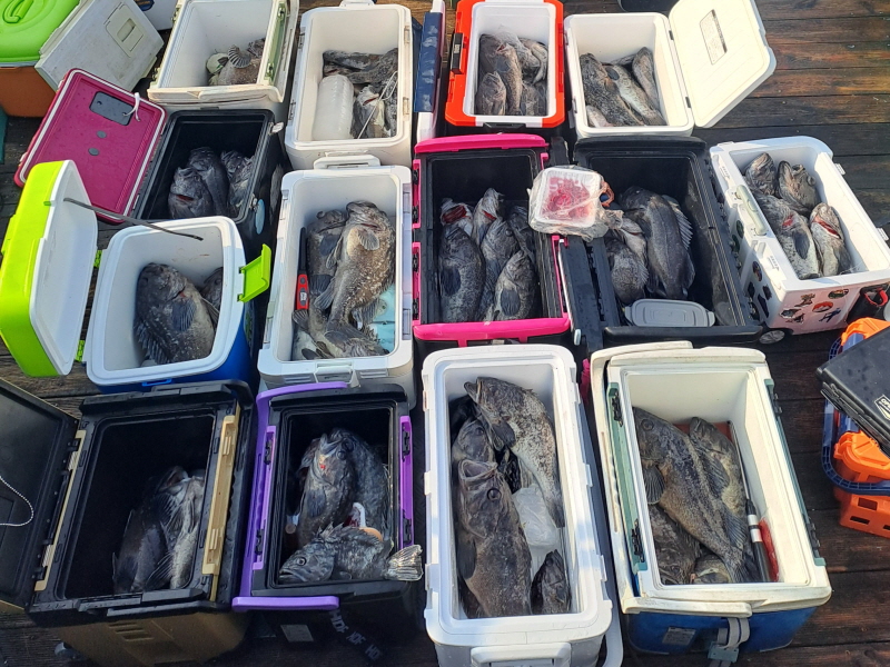 행운호 조황갤러리입니다.