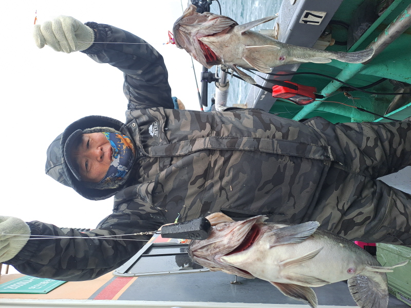 행운호 조황갤러리입니다.