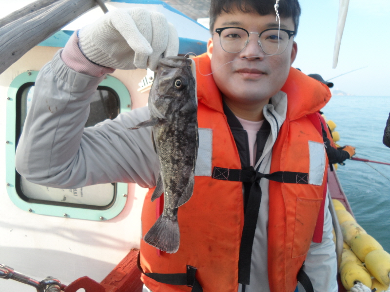 보령호 조황갤러리입니다.