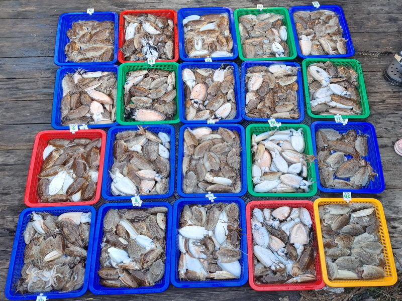 신정호 조황갤러리입니다.