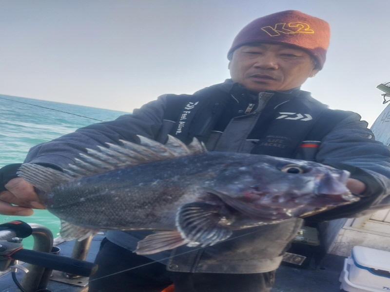 나르샤호 조황갤러리입니다.