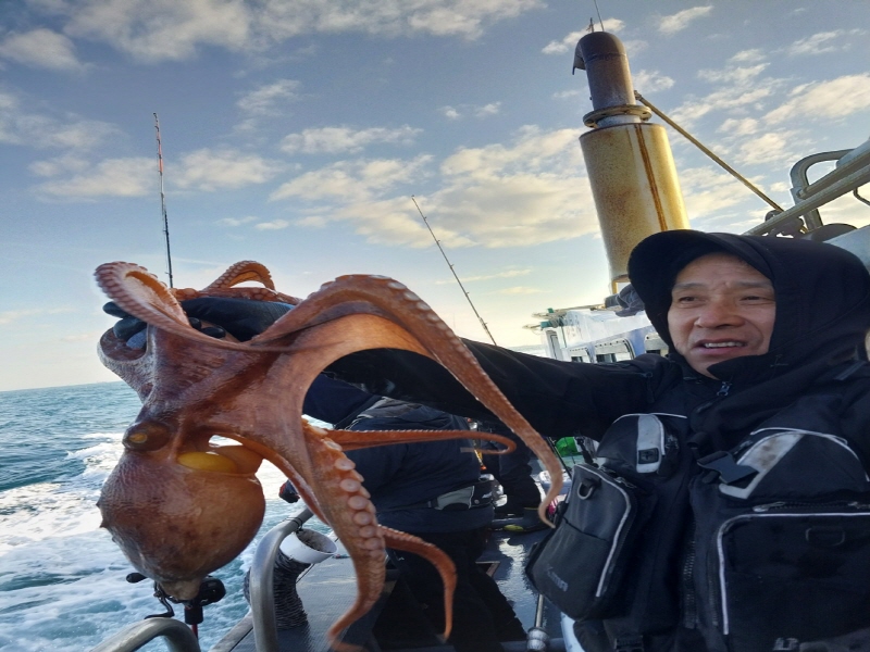 나르샤호 조황갤러리입니다.