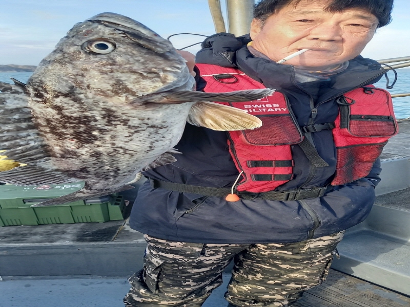 나르샤호 조황갤러리입니다.