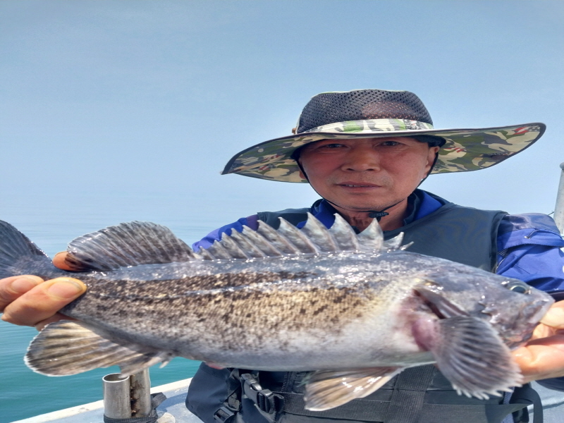 나르샤호 조황갤러리입니다.