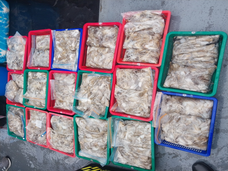 나르샤호 조황갤러리입니다.