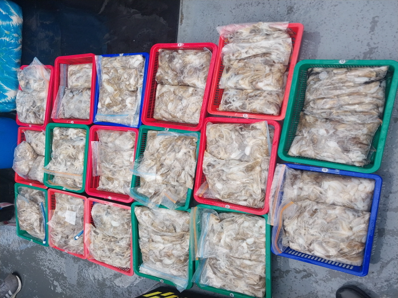 나르샤호 조황갤러리입니다.