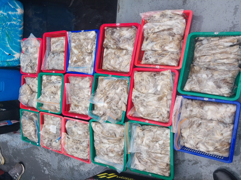 나르샤호 조황갤러리입니다.